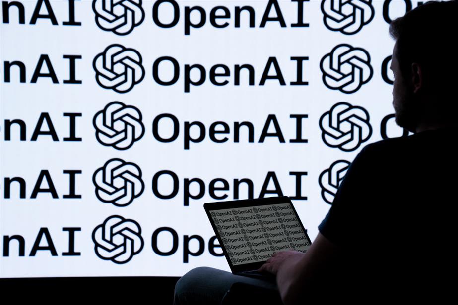 Person using laptop is seen in front of OpenAI logo